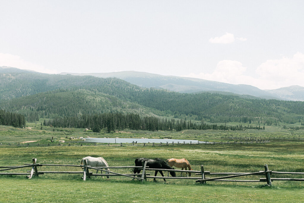 View of the Colorado mountains and horses at Devil's Thumb Ranch