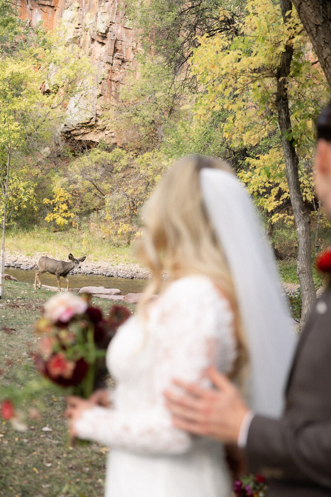 Deer in background of fall wedding ceremony
