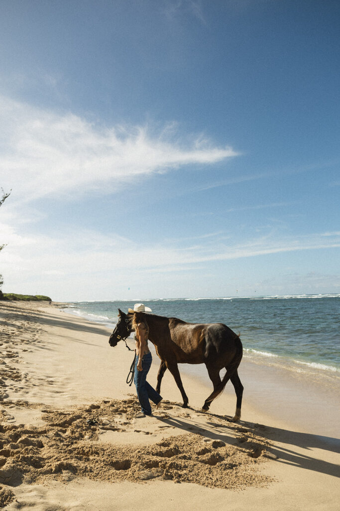 Branding photoshoot in Hawaii on the North Shore with horses